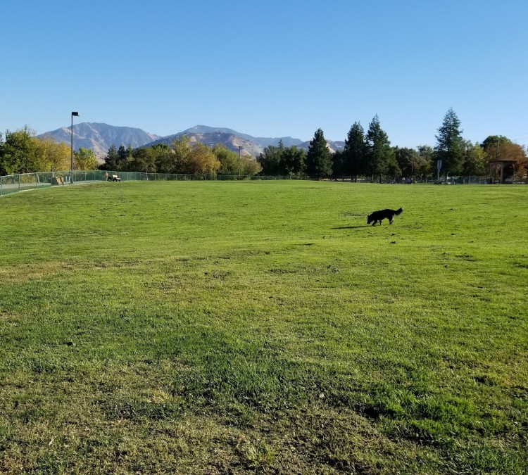 Newhall Dog Park (Concord,&nbspCA)